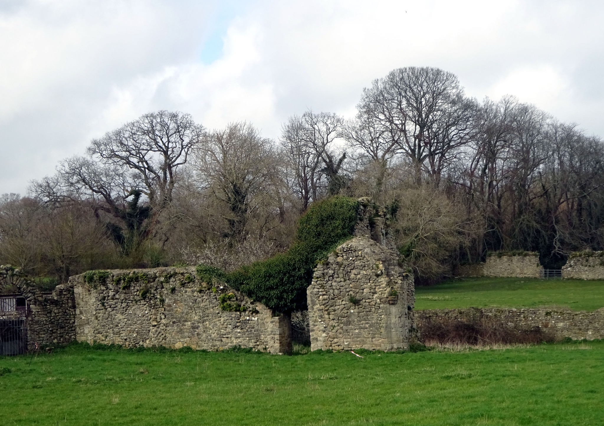 Ruins at Quarr Abbey 