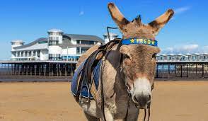 Weston Super Mare Photo